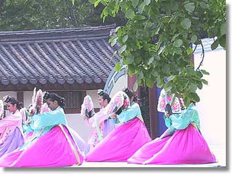 韓国舞踊